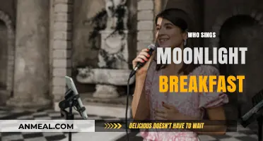 Who Sings Moonlight Breakfast? Unveiling the Voice Behind the Song