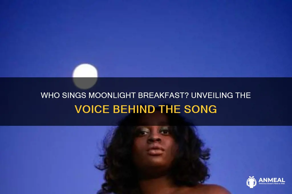 who sings moonlight breakfast