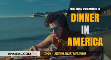 Who Sings 'Watermelon Sugar' in America? Uncovering the Voice