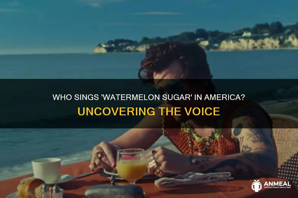 who sings watermelon in dinner in america