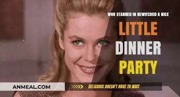 Bewitched's 'A Nice Little Dinner Party' Cast: Who Starred?