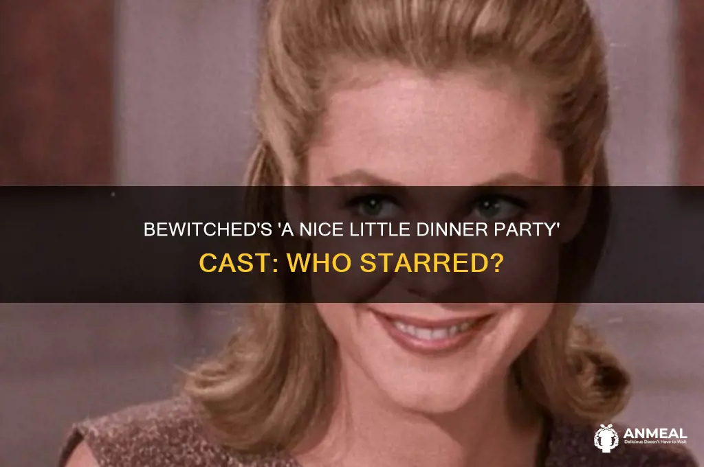 who starred in bewitched a nice little dinner party