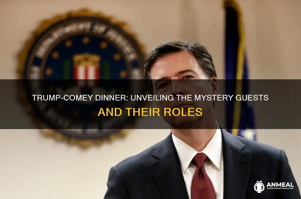 who was at dinner with trump and comey