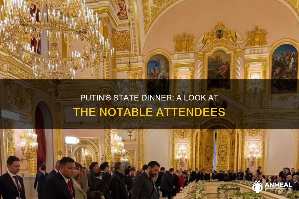 who was at putin state dinner