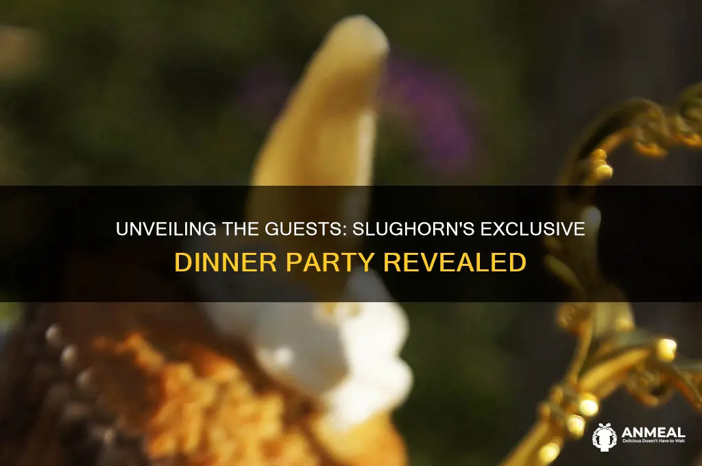 who was at slughorn