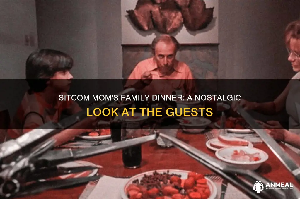 who was at the family dinner on sitcom mom
