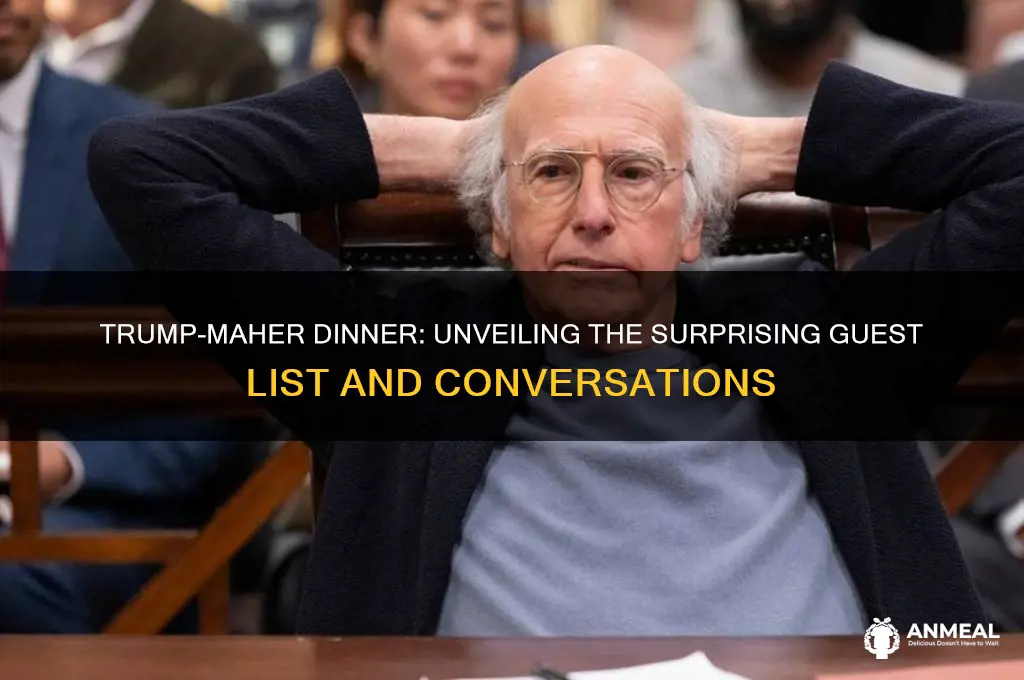 who was at trump maher dinner