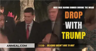 Trump's MOAB Decision: Who Shared Dinner During the Historic Strike?