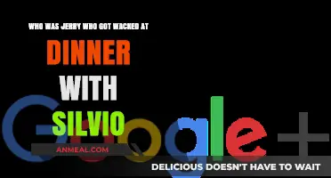 Who Was Jerry? Unraveling the Mystery of Silvio's Dinner Hit