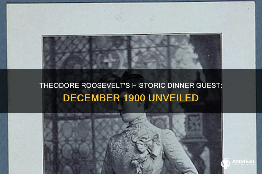 who was theodore roosevelt