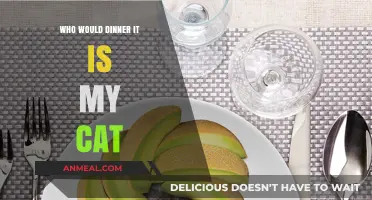 Who Would've Guessed? My Cat's Hilarious Dinner Time Antics