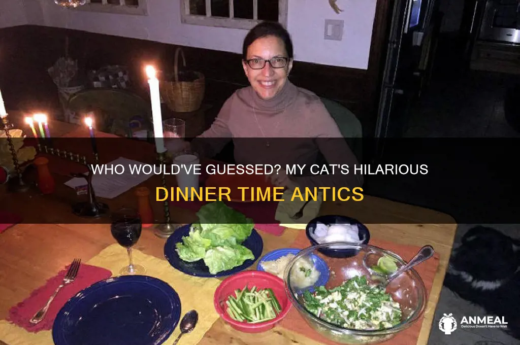 who would dinner it is my cat
