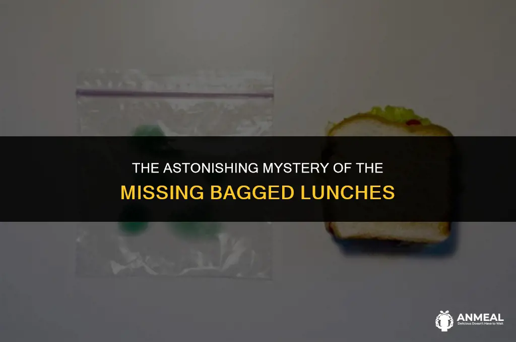 who would steal 30 bagged lunches gif