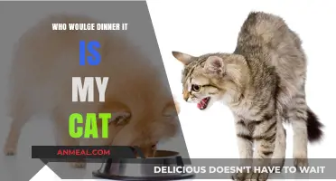 Whimsical Dinner Companion: Why My Cat Steals the Spotlight at Mealtime