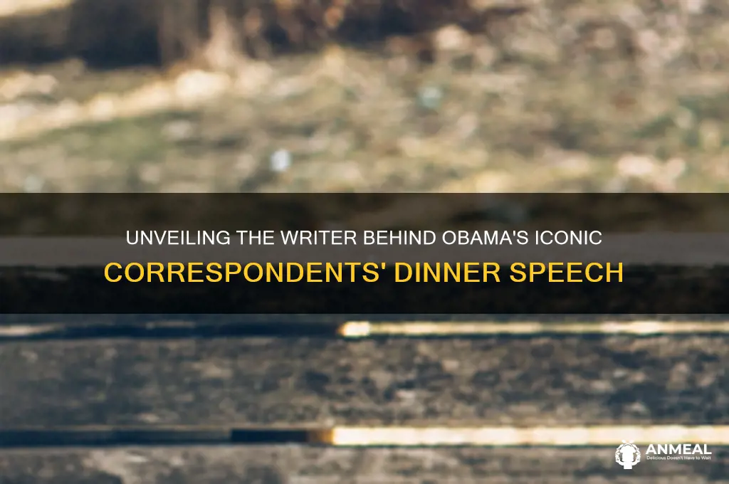 who wrote obama