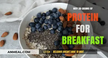 Boost Your Morning Energy: The Power of 30g Protein Breakfasts