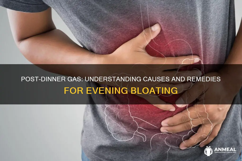 why am i always gassy after dinner