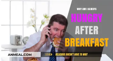 Why Post-Breakfast Hunger Persists: Causes and Solutions Explained