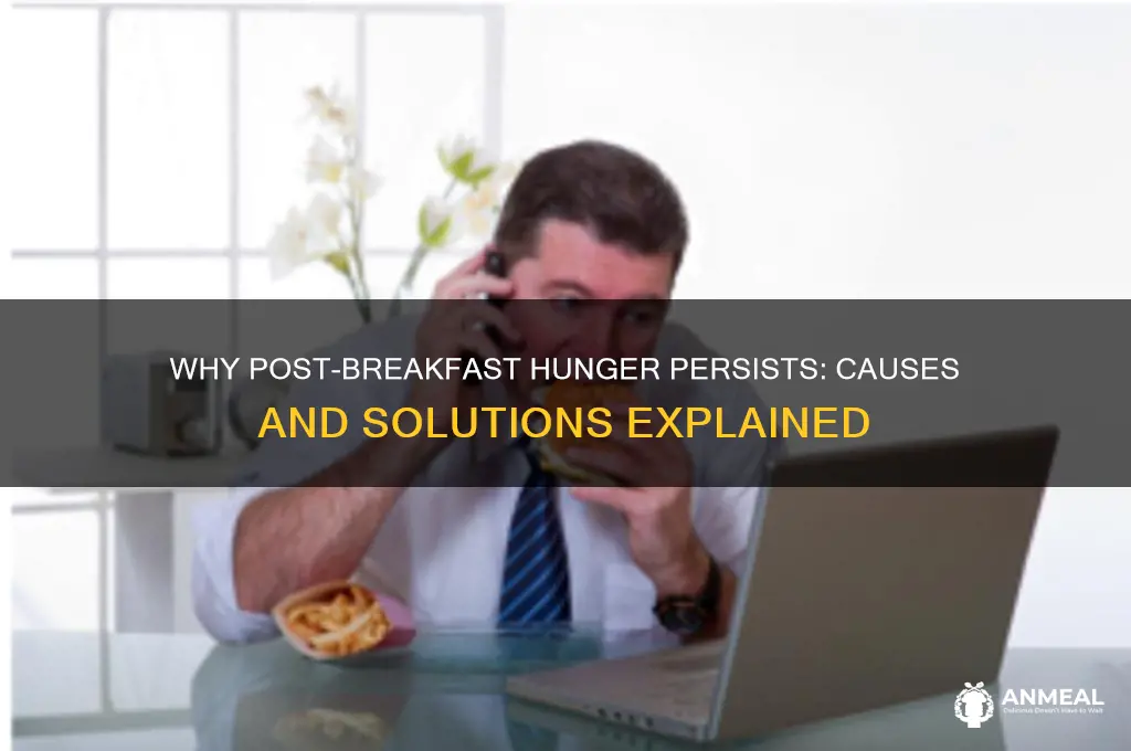 why am i always hungry after breakfast