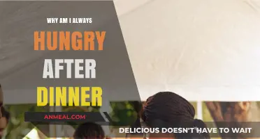 Post-Dinner Hunger: Understanding Why You're Always Hungry After Eating