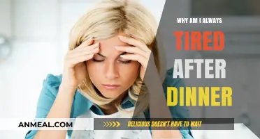 Post-Dinner Fatigue: Understanding Why You’re Always Tired After Eating