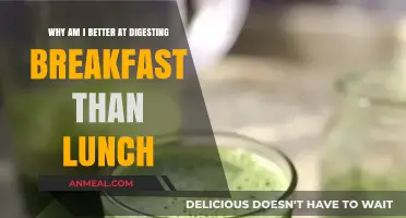 Morning Metabolism: Why Breakfast Digests Better Than Lunch for Me