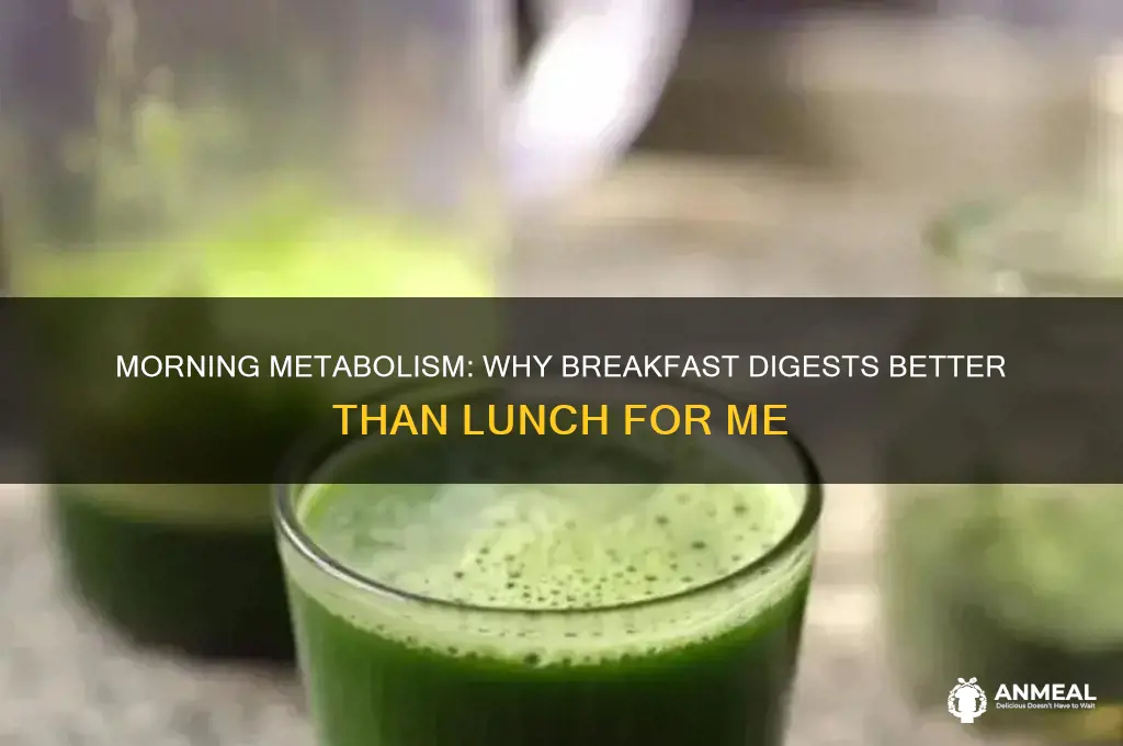 why am i better at digesting breakfast than lunch