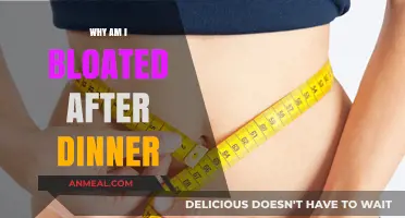 Post-Dinner Bloating: Causes, Remedies, and Prevention Tips Explained