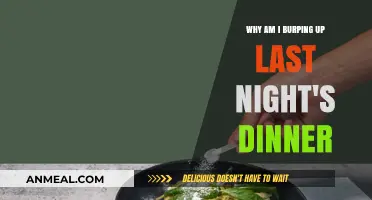 Why Last Night's Dinner Keeps Coming Up: Causes and Remedies