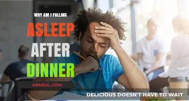 Post-Dinner Drowsiness: Understanding Why You Fall Asleep After Eating
