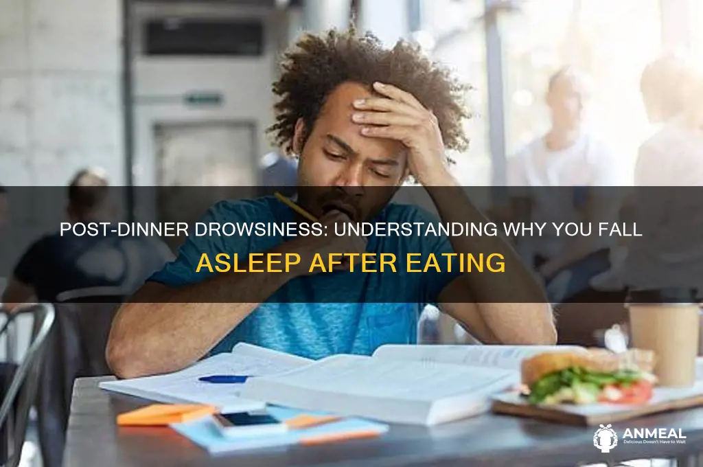 why am i falling asleep after dinner