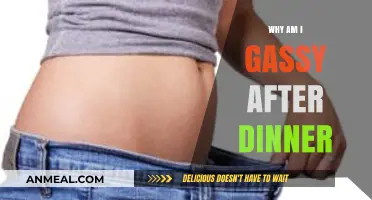 Post-Dinner Gas: Understanding Causes and Remedies for Bloating Relief