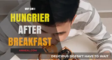 Why Breakfast Leaves You Hungrier: Unraveling Post-Meal Cravings