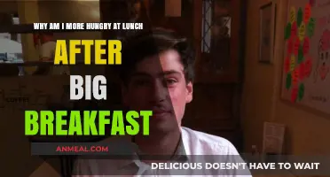 Big Breakfast, Bigger Hunger: Why Lunch Cravings Spike After a Hearty Morning Meal