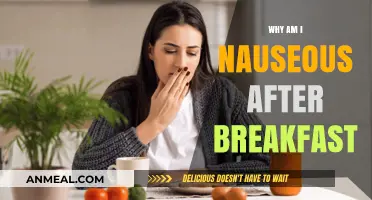 Morning Sickness or Food Choice: Why Nausea Hits Post-Breakfast