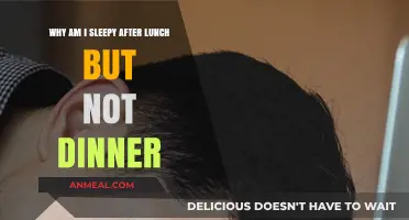 Post-Lunch Slump vs. Evening Energy: Unraveling the Sleepiness Mystery