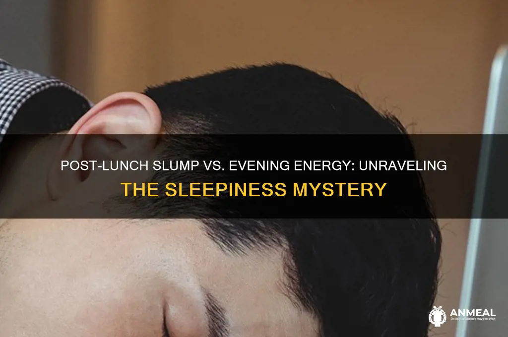 why am i sleepy after lunch but not dinner