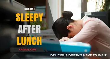 Post-Lunch Slump: Understanding the Science Behind Afternoon Sleepiness