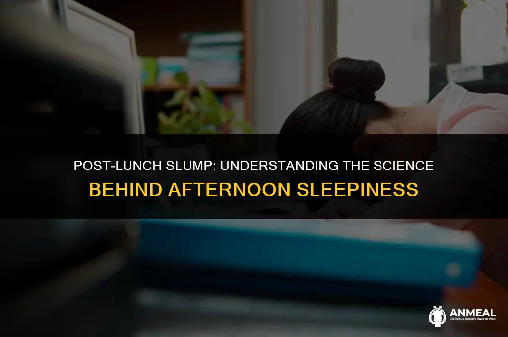 why am i sleepy after lunch