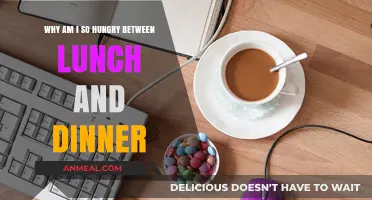 Afternoon Hunger Pangs: Unraveling the Mystery Between Lunch and Dinner