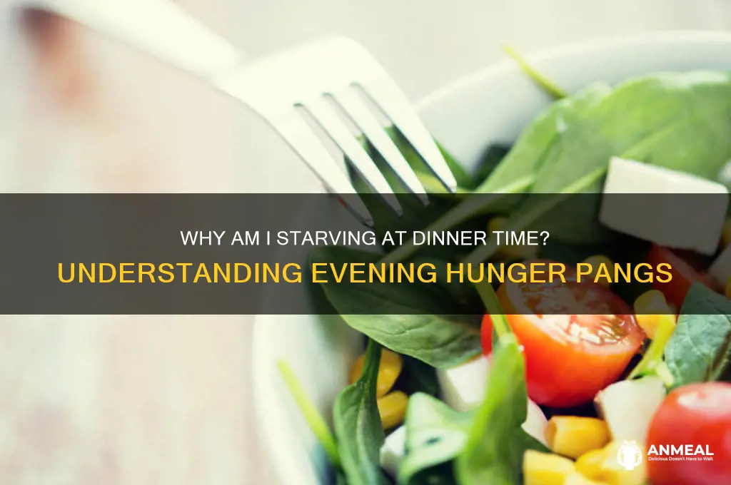 why am i starving at dinner time