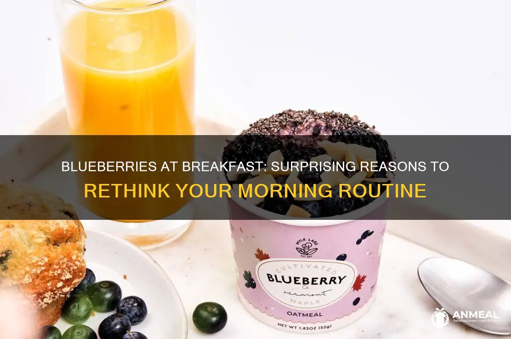 why are blueberries bad at breakfast
