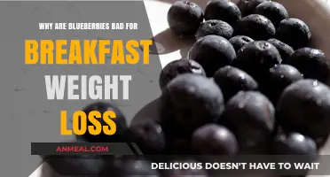 Blueberries and Breakfast: Uncovering the Weight Loss Myth