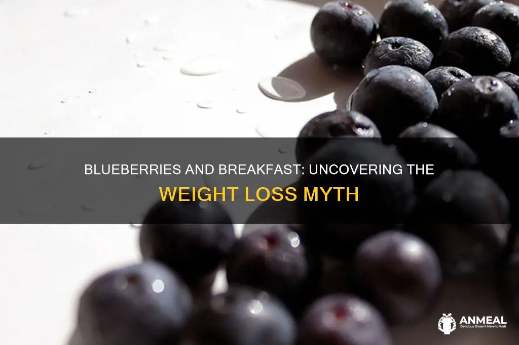why are blueberries bad for breakfast weight loss