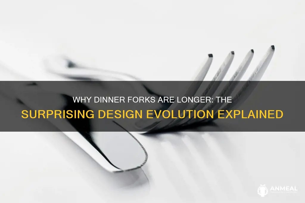 why are dinner forks longer