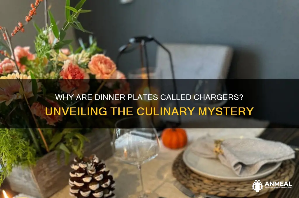 why are dinner plates called chargers