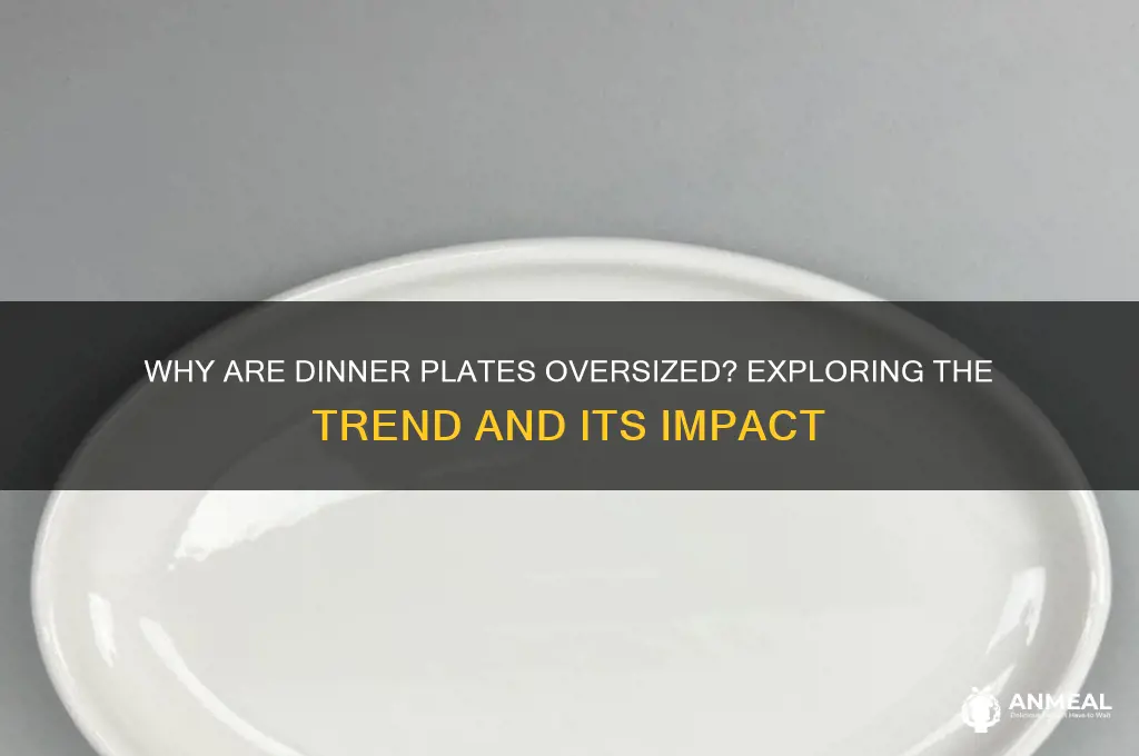 why are dinner plates so big