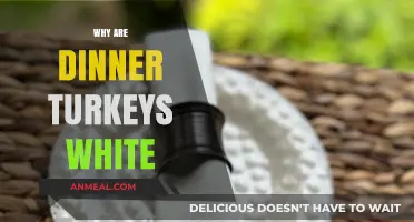 Why Dinner Turkeys Are White: Uncovering the Surprising Truth
