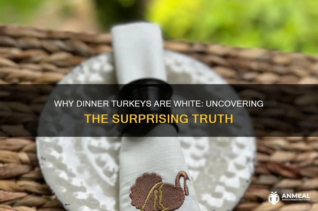 why are dinner turkeys white
