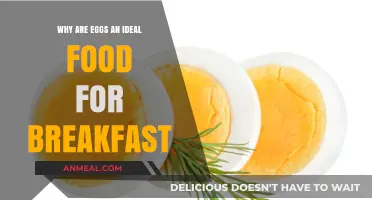 Eggs: The Perfect Breakfast Food for Energy and Nutrition